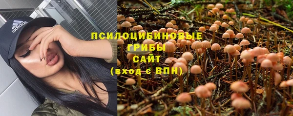 а пвп мука Богородицк