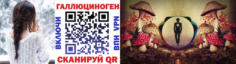 где можно купить   МЕГА ТОР  Галлюциногенные грибы Cubensis  Очёр 